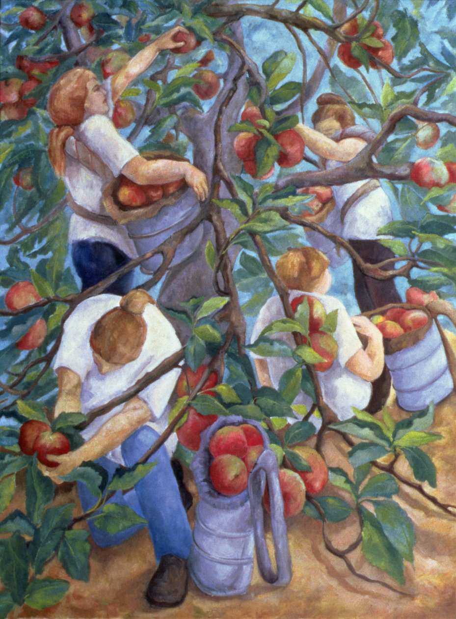 Cueilleurs de pommes, 1996 - Cristiana Angelini