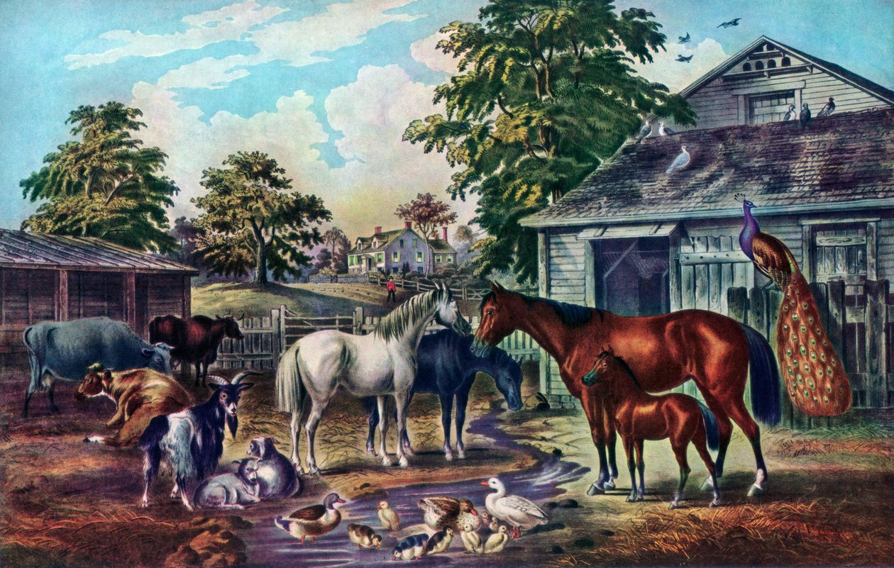Cour de ferme américaine le matin, 1857 - Currier and Ives