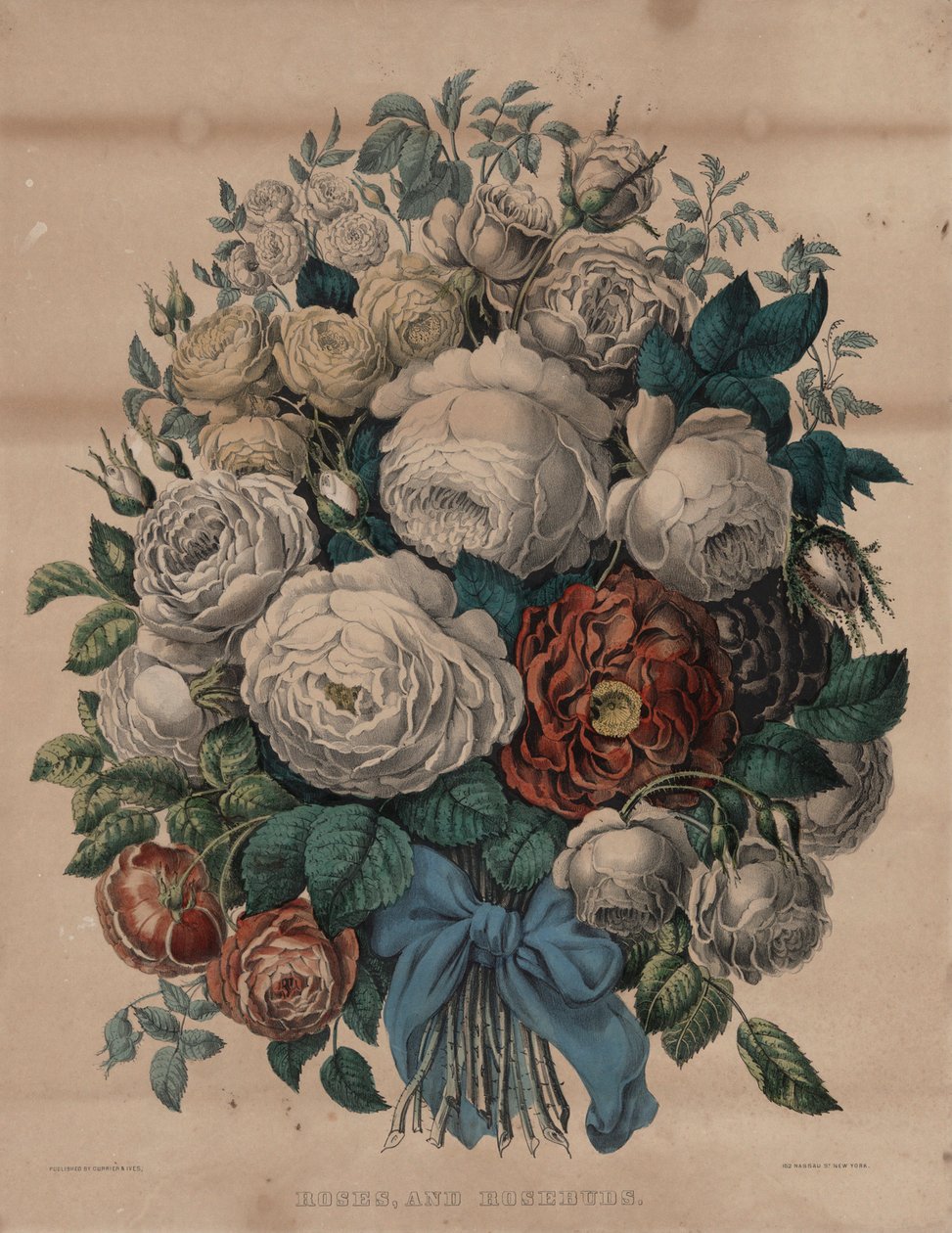 Roses et boutons de rose - Currier and Ives