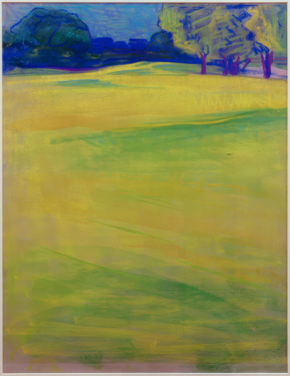 Paysage de prairie devant arbres et village - Curt Herrmann