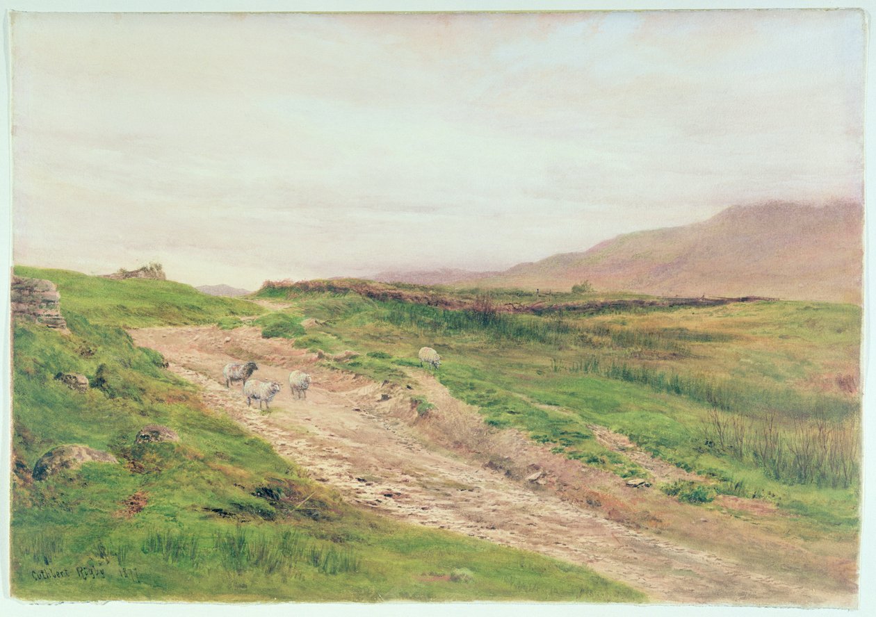 District des Lacs - Cuthbert Rigby