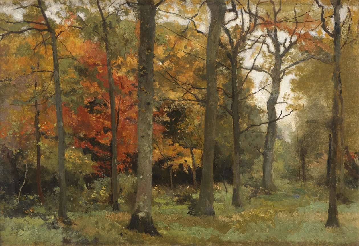 Feuilles d