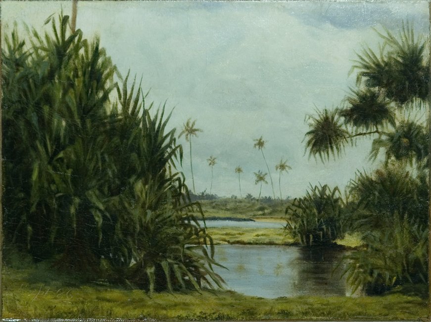 Baie de Hilo - D. Howard Hitchcock