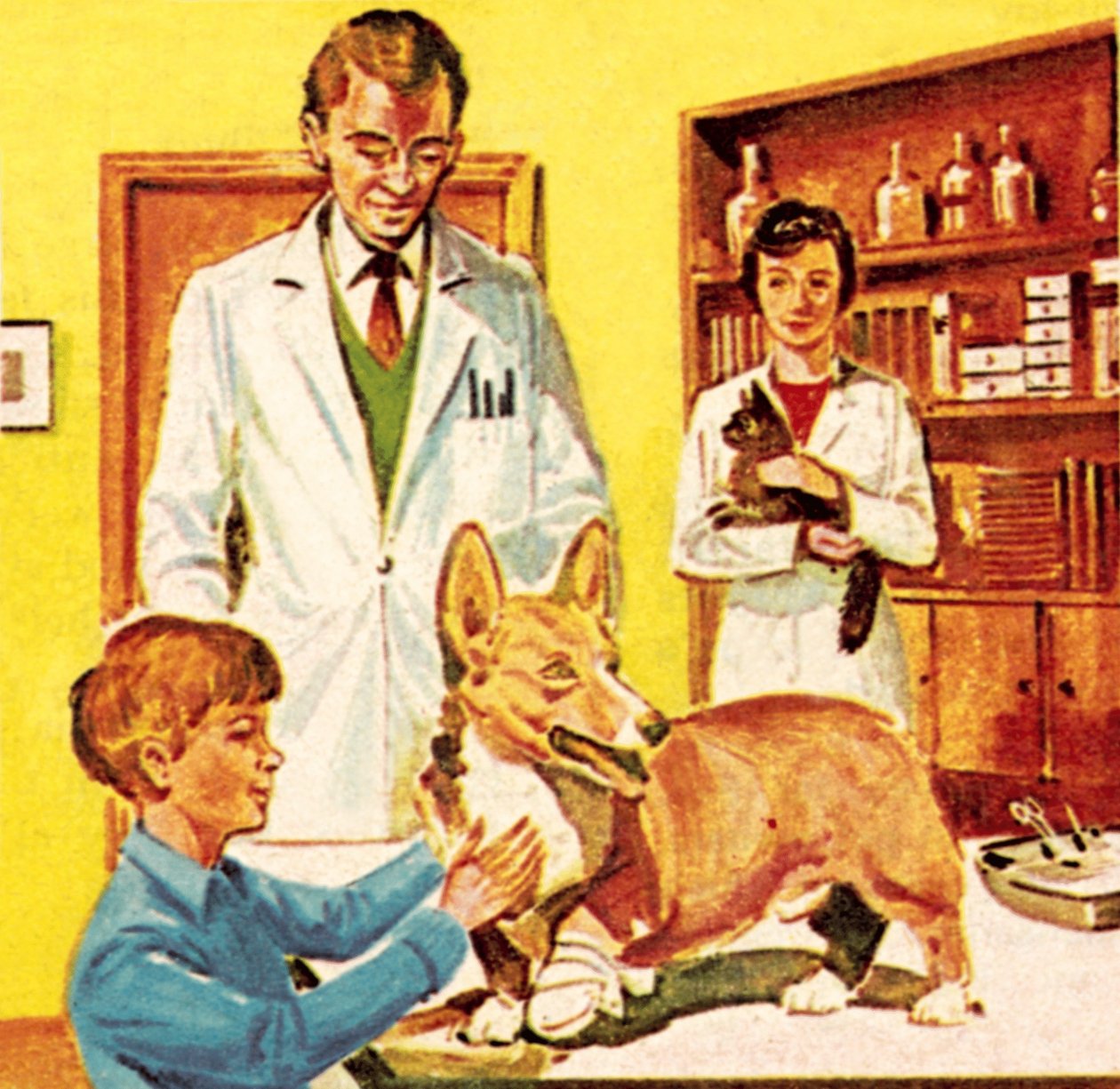 Clinique du Dispensaire populaire pour animaux malades - Dan Escott
