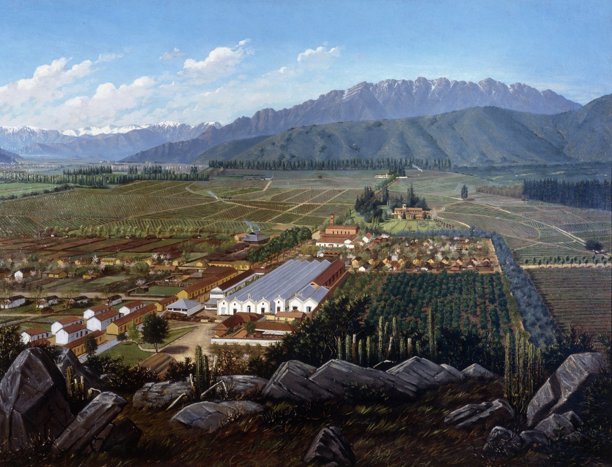 Le vignoble d
