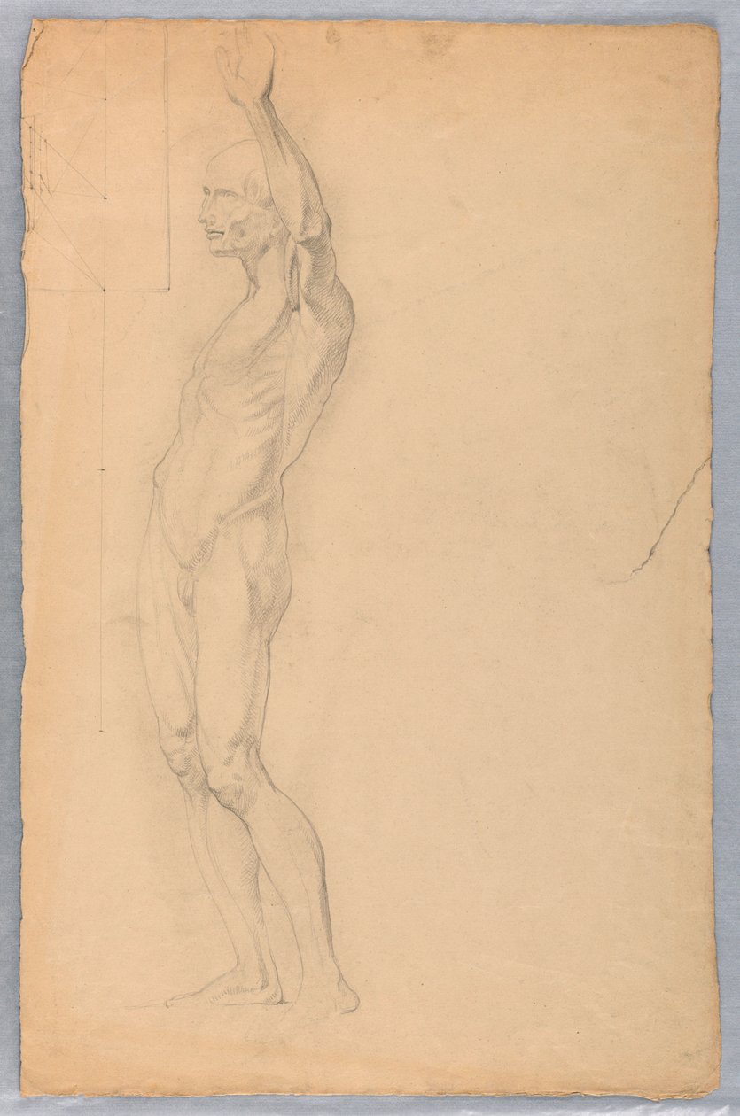 Dessin, étude anatomique d