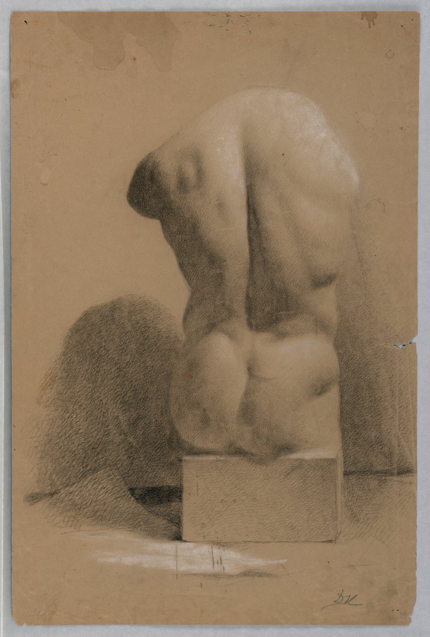 Dessin, torse masculin d