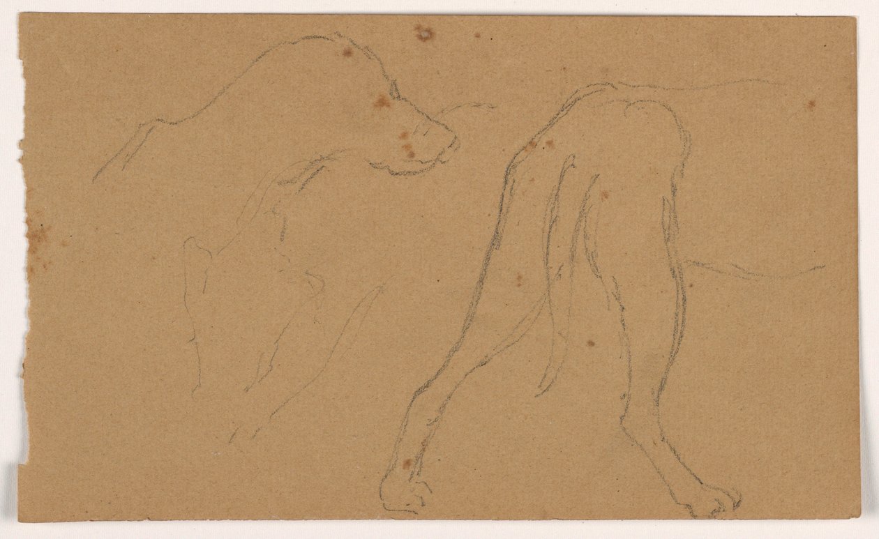 Dessin, Milo (un chien d