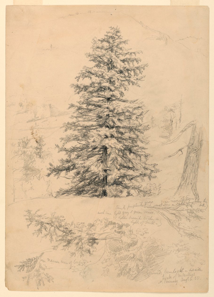 Dessin, étude d