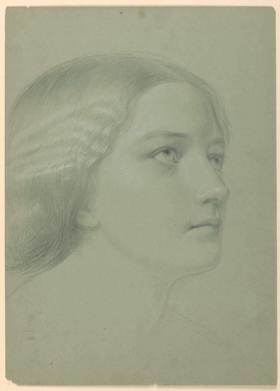 Étude de la tête d