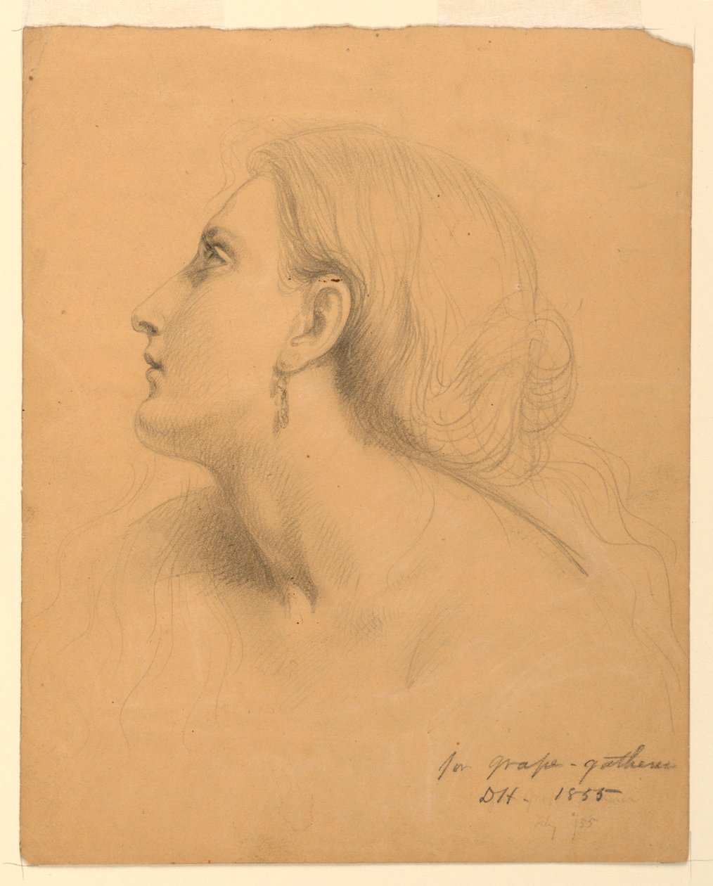 Étude de tête de femme pour "Les Vendangeurs" - Daniel Huntington