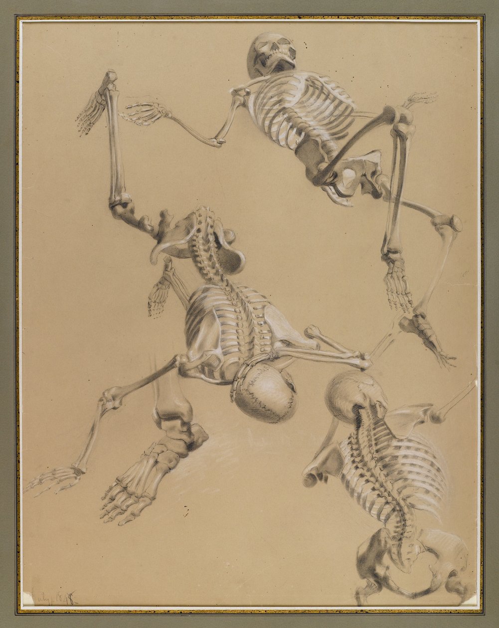 Étude de squelettes, 1848 - Daniel Huntington