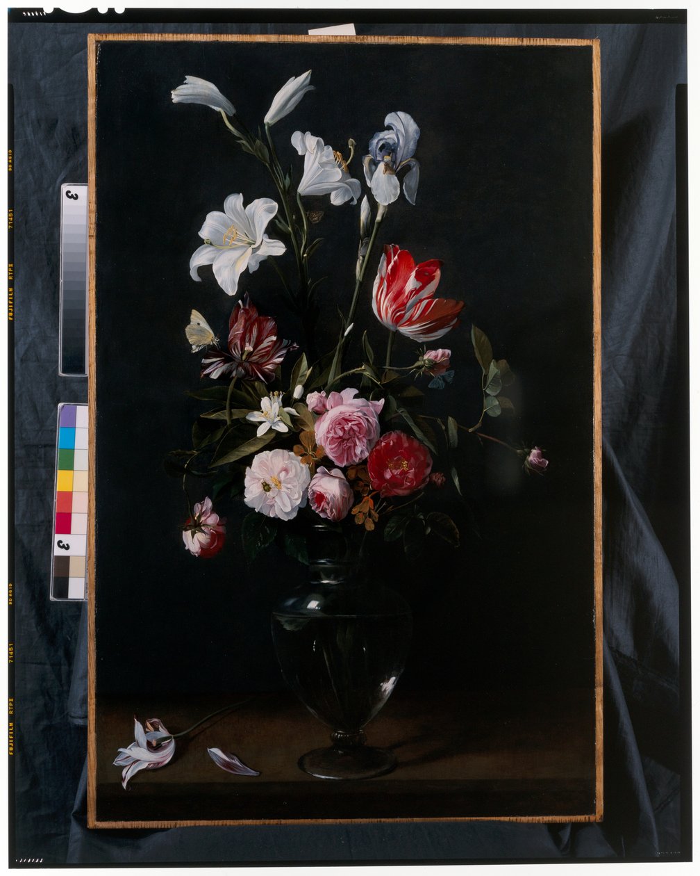 Guirlandes de roses, tulipes, jonquilles et autres fleurs suspendues à des rubans bleus - Daniel Seghers