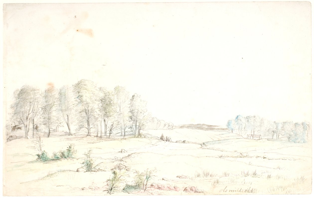 Paysage près d