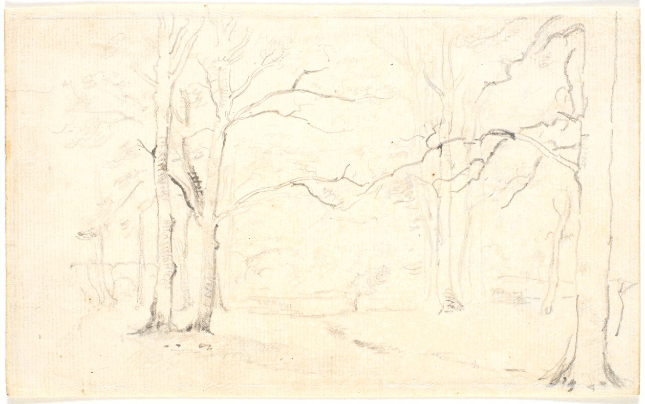 Intérieur de forêt - Dankvart Dreyer