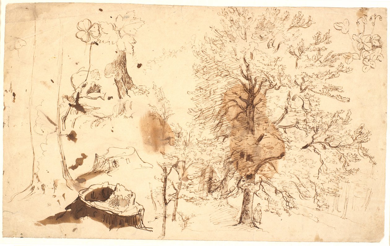 Étude avec arbres, plantes et souches - Dankvart Dreyer