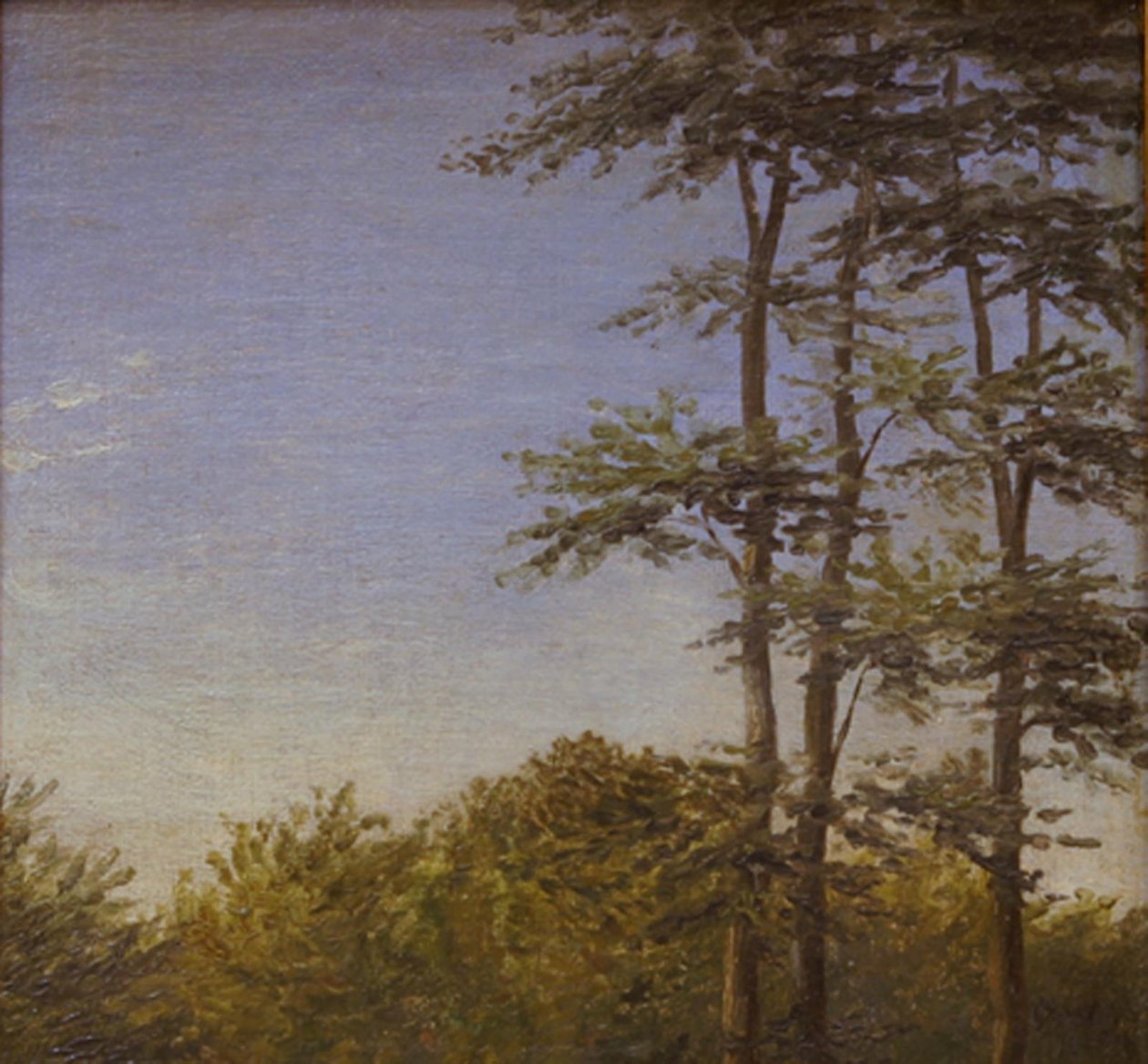 Étude de sous-bois et grands arbres, Fionie - Dankvart Dreyer