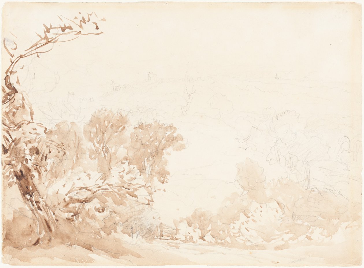 Versant de colline et arbres - David Cox