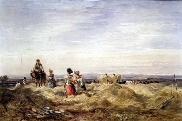Dans le champ de foin - David Cox