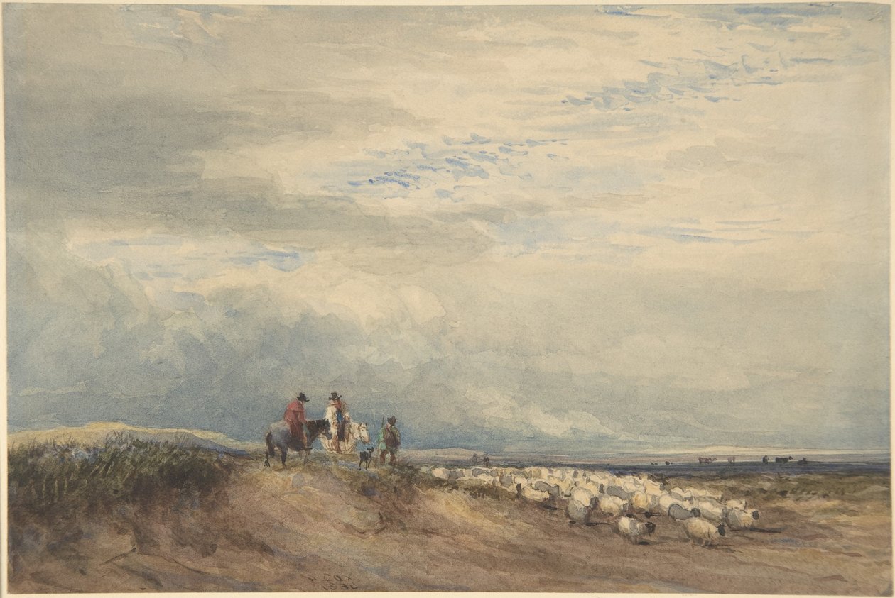 Cavaliers avec des moutons près d