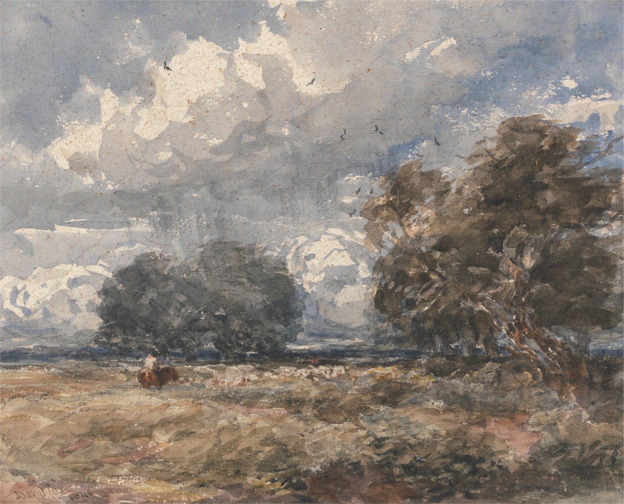 Berger le troupeau, jour de grand vent - David Cox