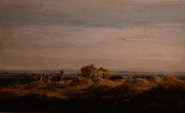 Le champ de foin - David Cox