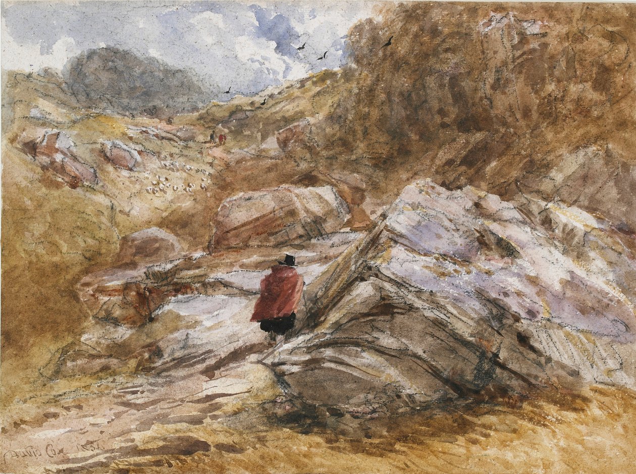 Col de montagne à Bettws-y-Coed, 1851 - David Cox the elder