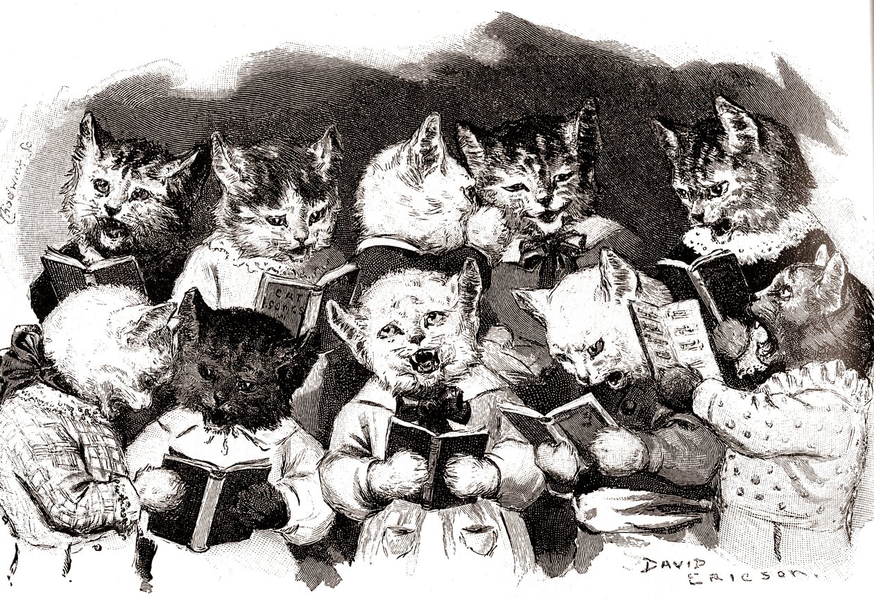 Chœur de chats, début du 20e siècle (illustration) - David Ericson