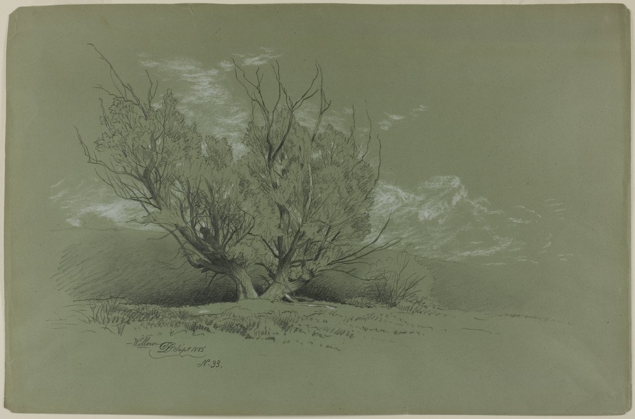 Saule - David Johnson