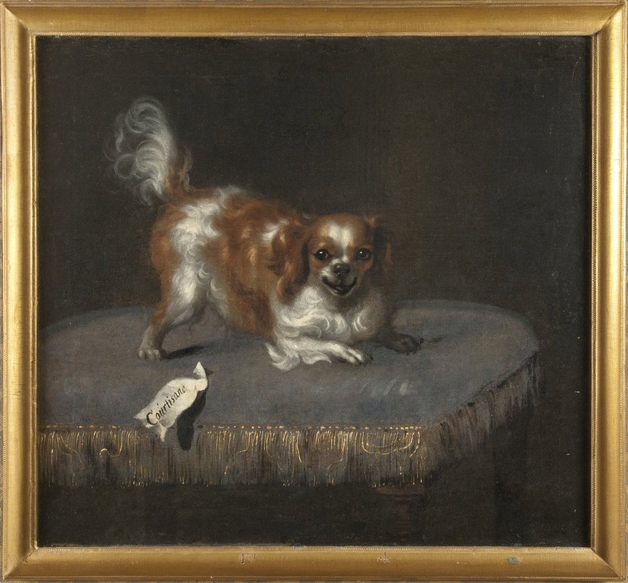 Le chien Courtisane - David Klöcker Ehrenstrahl