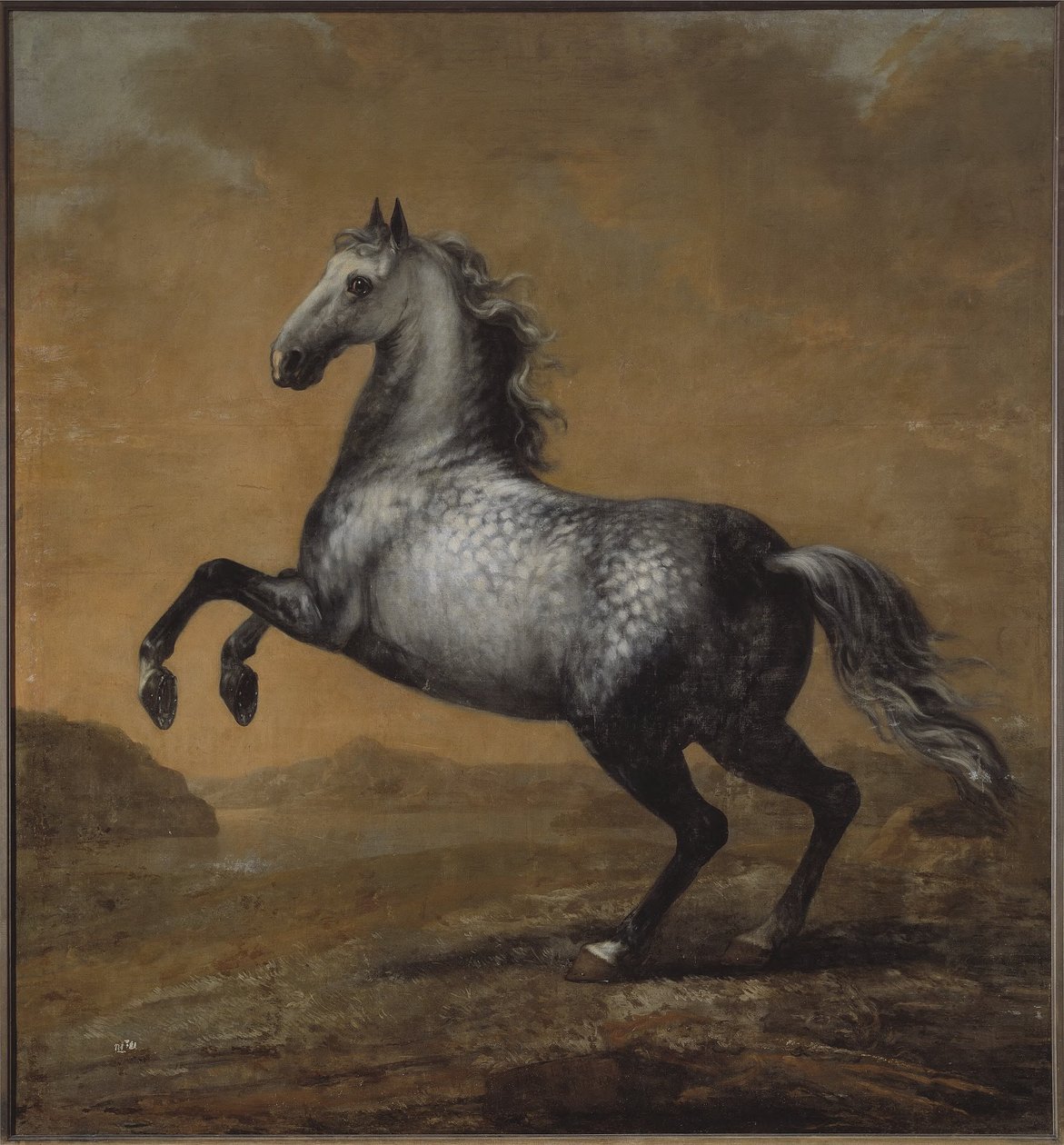 Le cheval de bataille de Charles XI, Le Petit Anglais - David Klöcker Ehrenstrahl
