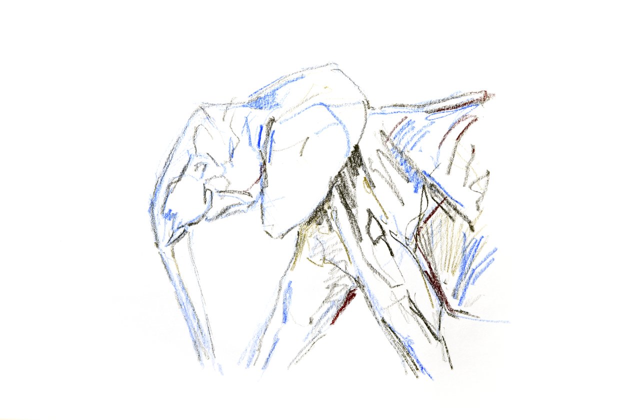 Éléphant d
