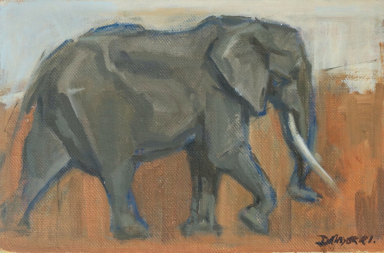 Éléphant mâle, 2019 - David Mayer