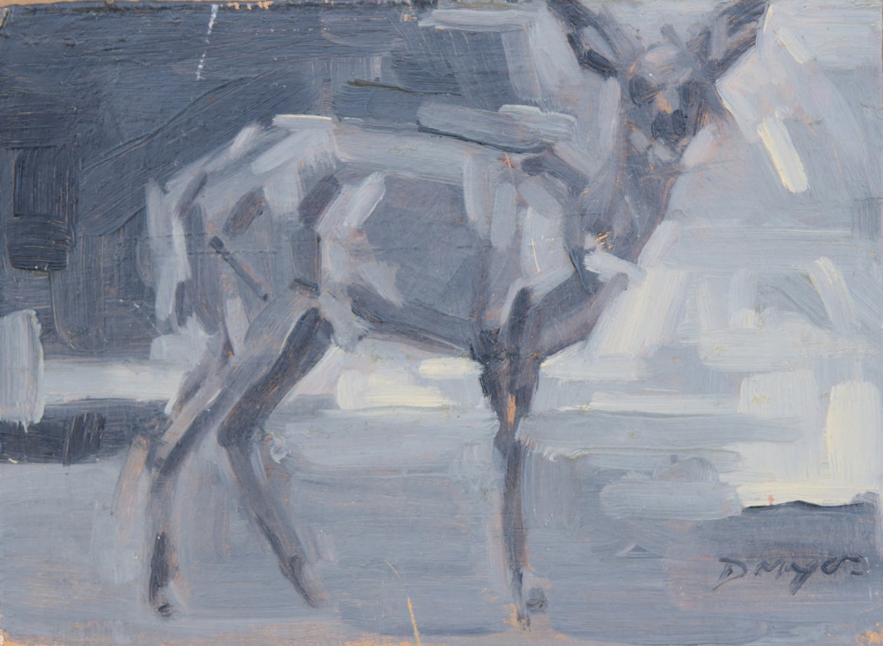 Biche de Bushbuck, 2016 - David Mayer