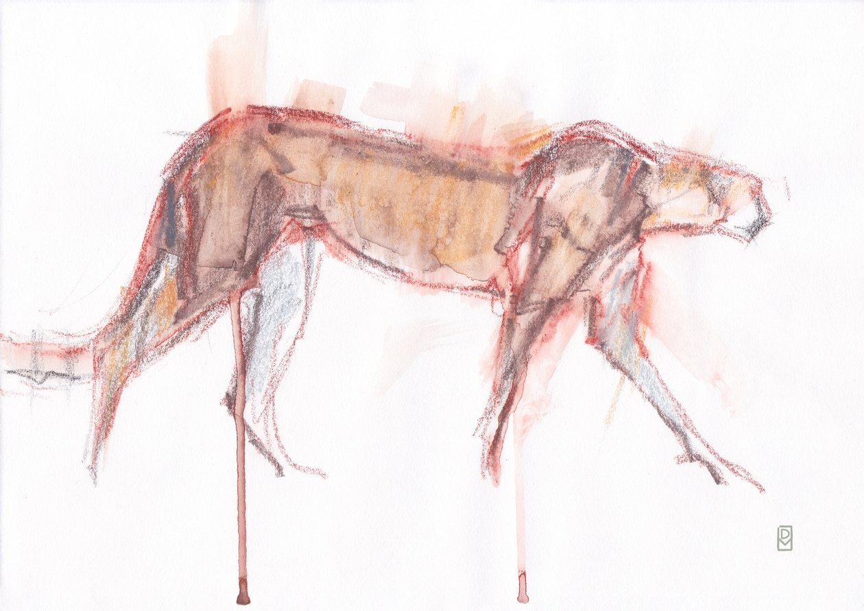 Chasse du guépard, 2019 - David Mayer