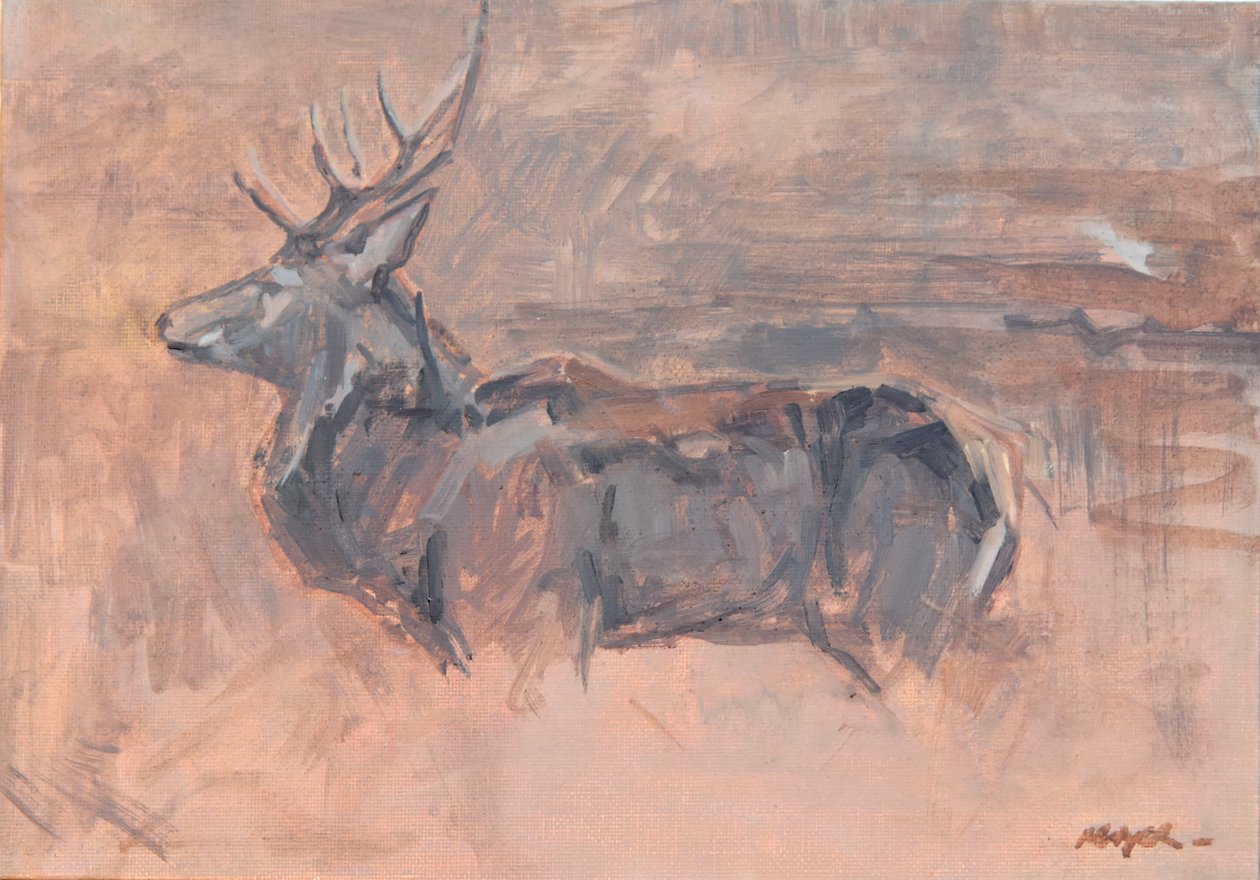 Cerf Rouge, 2023 - David Mayer
