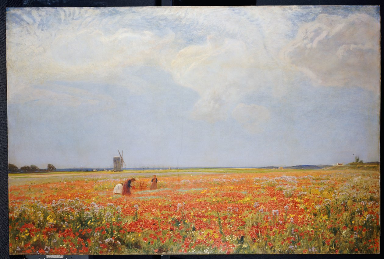 Les Cueilleuses de Fleurs - David Murray