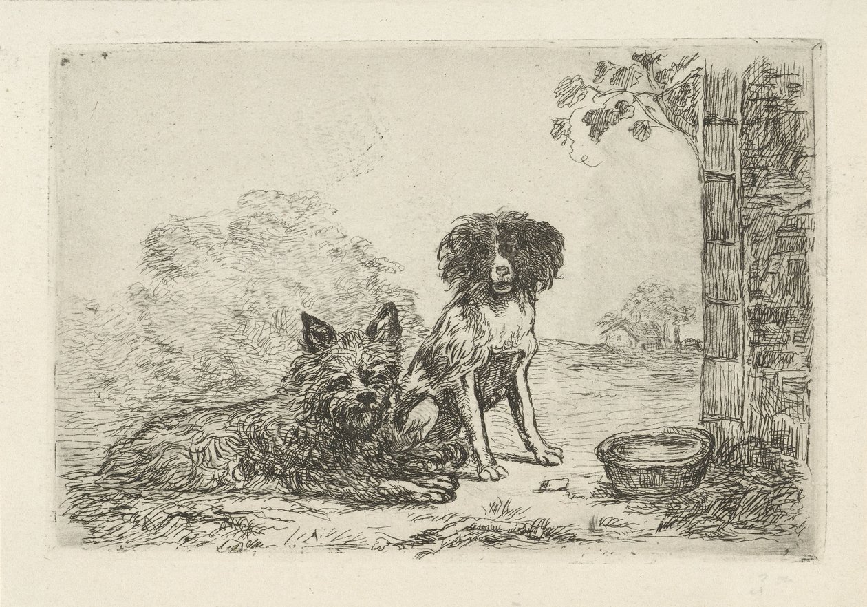 Deux chiens - David van der Kellen