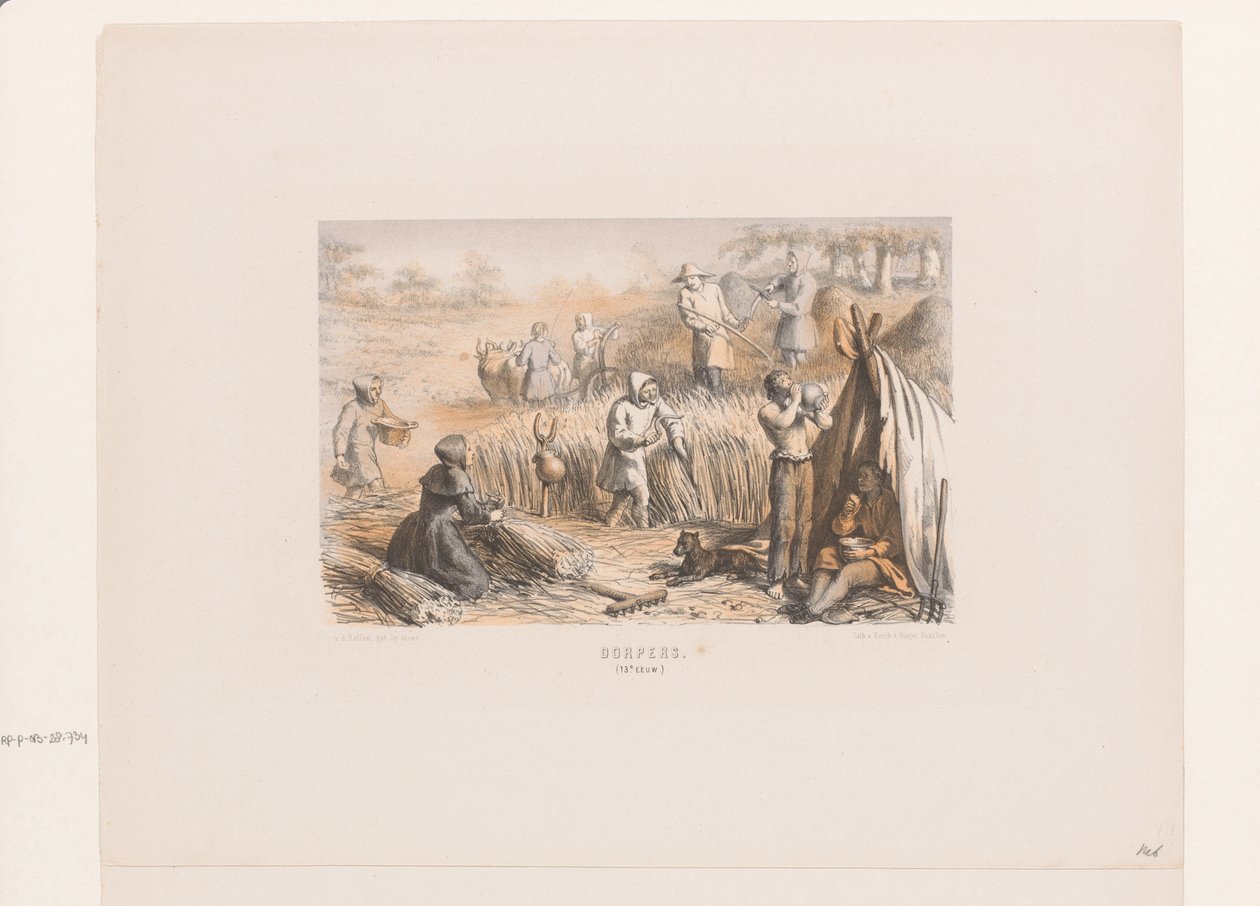 Moisson dans les champs, 13e siècle - David van der Kellen