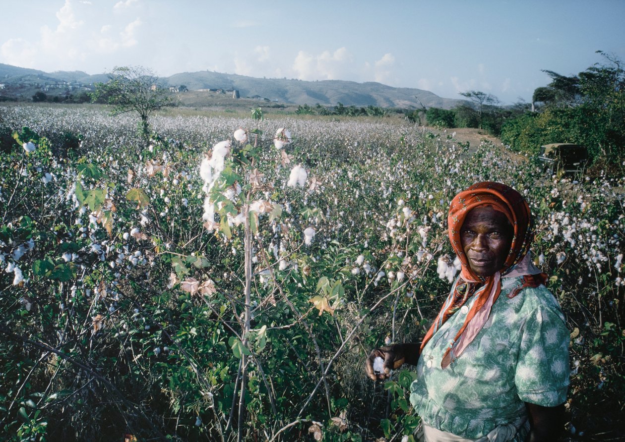Femme debout dans un champ de Sea Island, Grenadines - Dean Conger