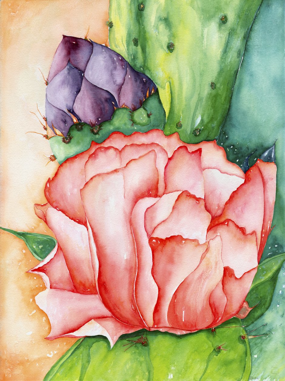 Fleur du désert, 2007 (aquarelle) - Deborah Eve Alastra
