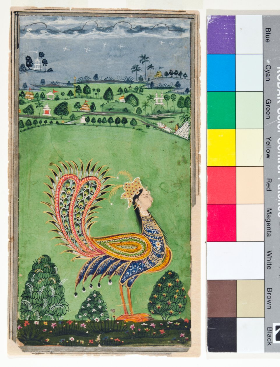 Paon mythique avec une tête de femme, vers 1750 - Deccani School