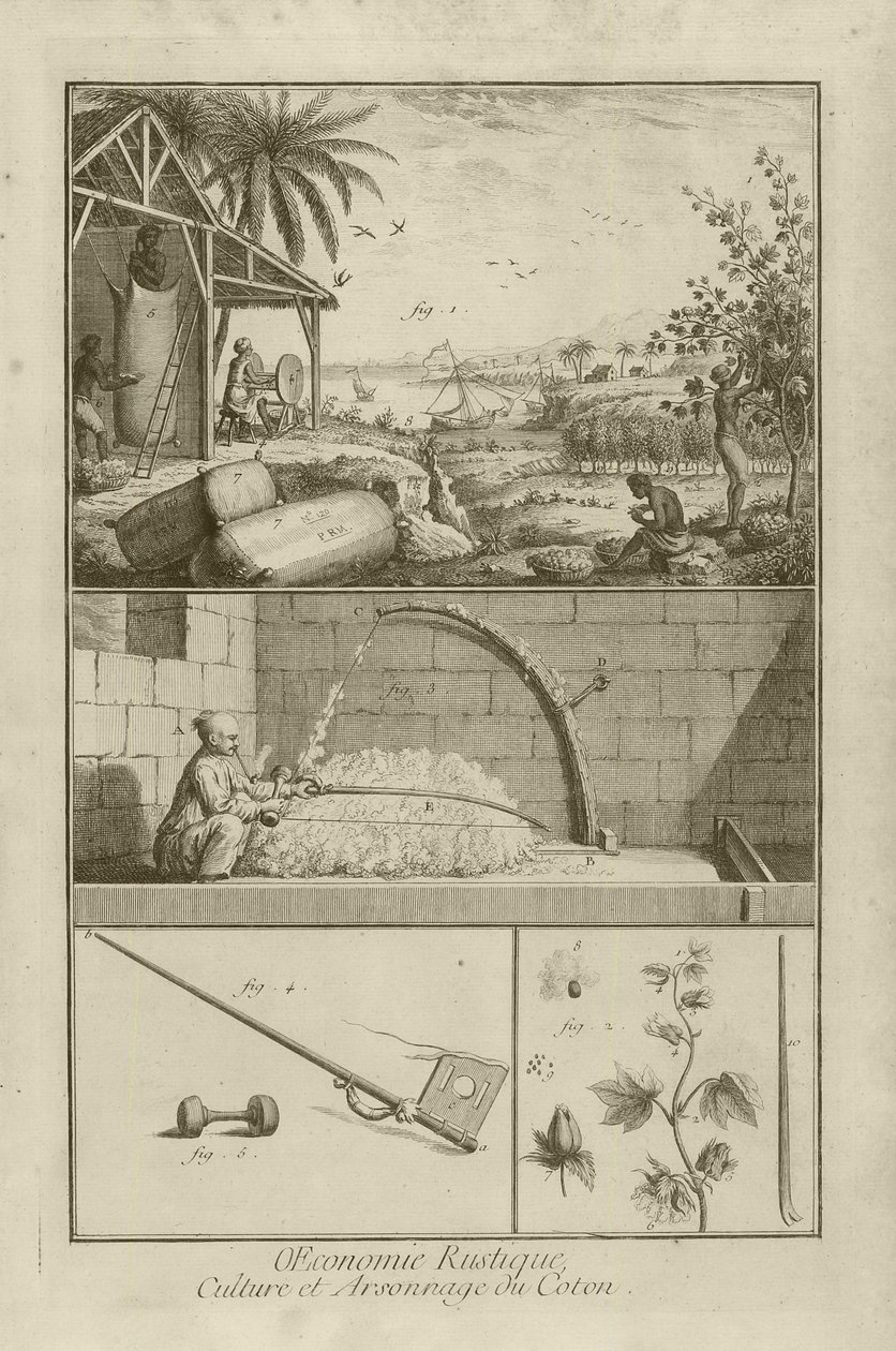 Champ de coton en Amérique; Battage avec un arc; Plante de coton, 1762 - Denis Diderot
