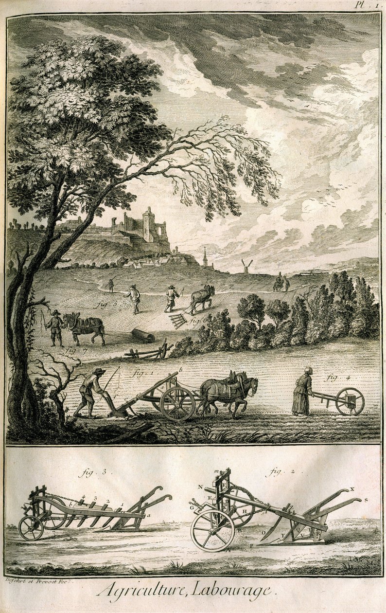 Travail des champs - Agriculture, semis, labourage. Divers modèles de rouleaux et charrues : Planche d