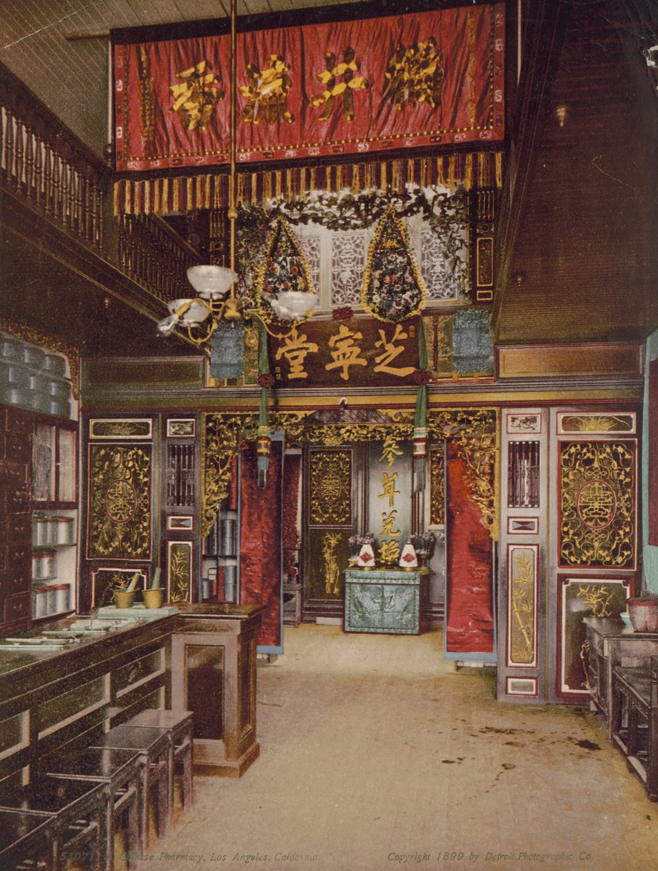 Pharmacie chinoise, Los Angeles, Californie - Detroit Photographic Co.