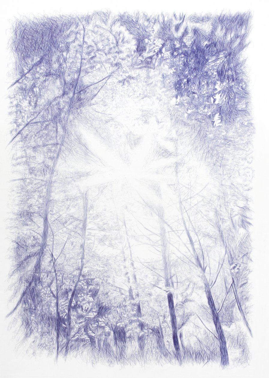 Contraluz, 2024 (encre sur toile) - Diego Beyro