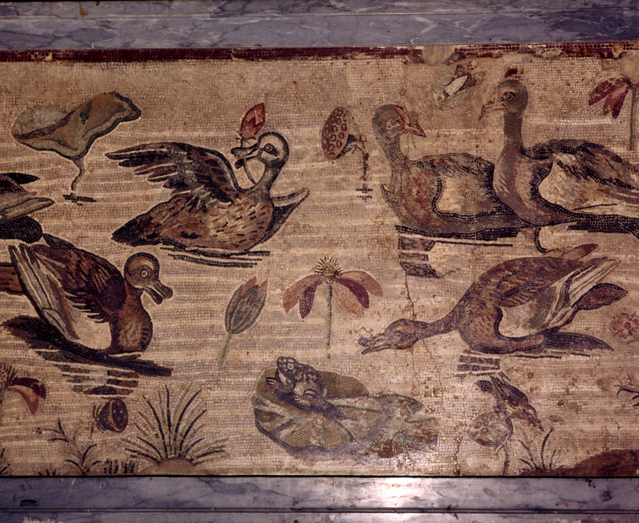 Mosaïque Romaine de Pompéi de canards et grenouilles dans un jardin aquatique - Dioscurides of Samos
