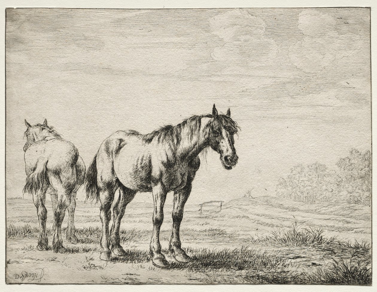 Deux chevaux de labour - Dirck Stoop