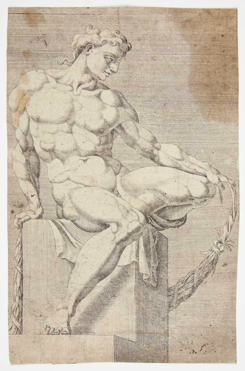Nu de la Chapelle Sixtine - Dirck Volckertsz. Coornhert
