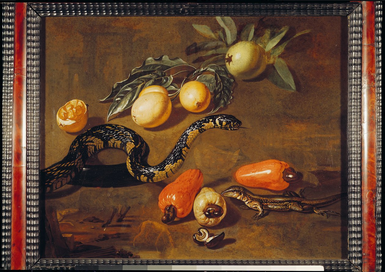 Nature morte de fruits du Surinam et de reptiles - Dirk Valkenburg